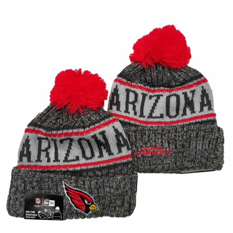 Arizona Cardinals Team Logo Knit Hat YD (7),We sell and wholesale Arizona Cardinals Team Logo Knit Hat YD (7) on line form chian!